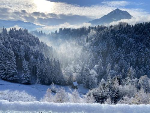 Wohnung Staufenblick und Wohnung Firstblick