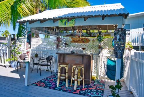 Parrot Eyes in Tavernier, USA