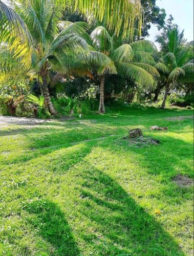 Spacieux haut de villa avec terrasse et jardin in Les Abymes