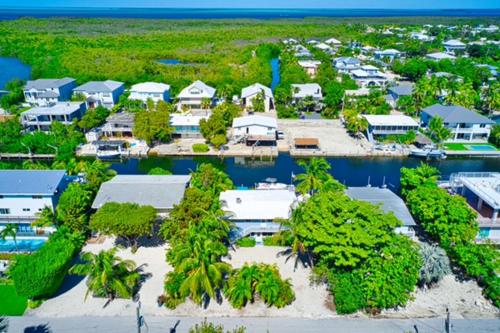 Parrot Eyes Lower in Tavernier, USA