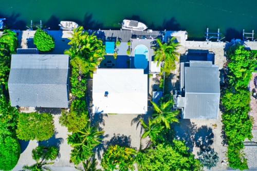 Parrot Eyes Lower in Tavernier, USA