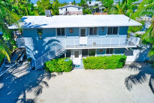 Parrot Eyes Lower in Tavernier, USA