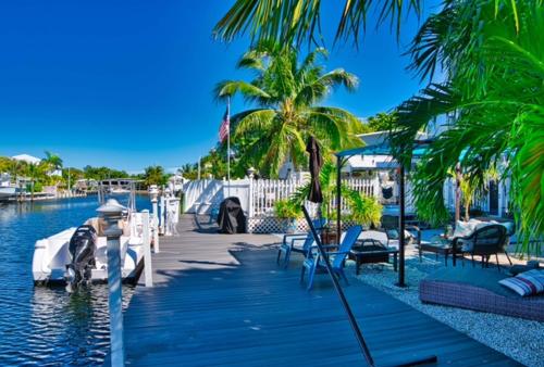 Parrot Eyes Lower in Tavernier, USA