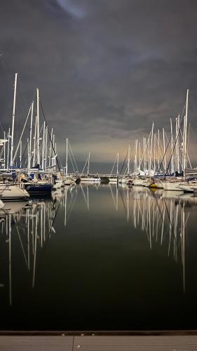 Waterlife, Lisabon (fotografie 6)