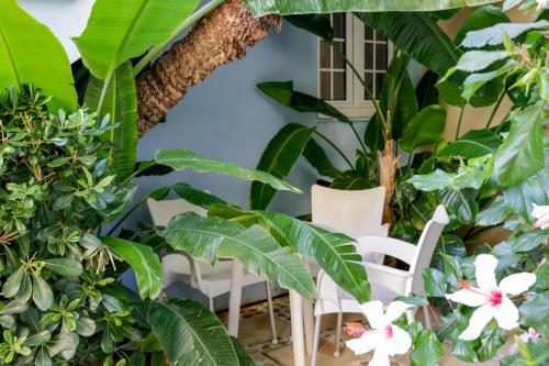 Futura Hotel - image 12