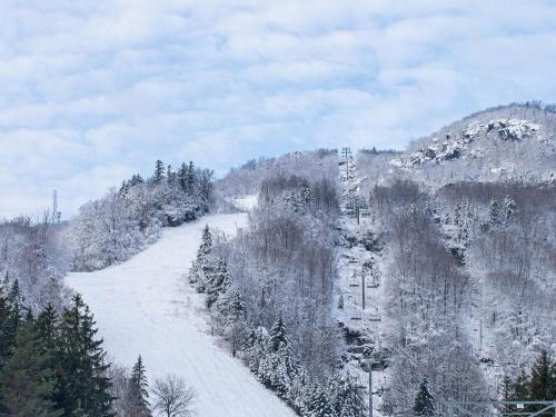 Hunter Mtn Slopeside Ski Resort w HotTub Heated Pool Sauna and Fireplace in Hunter, USA