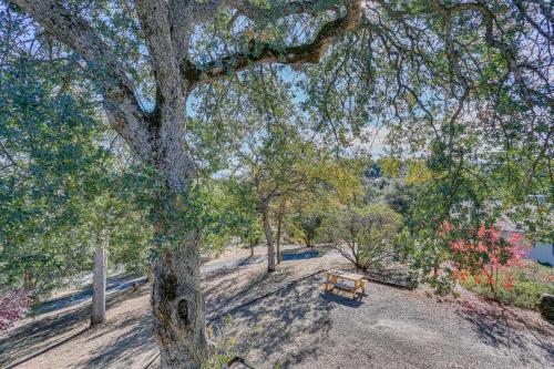 Cozy Studio w/ Well-Being Retreat: Near Yosemite! in 阿瓦尼 (CA)