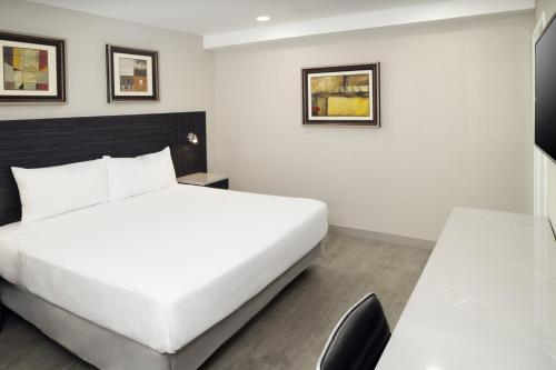 1 king bed