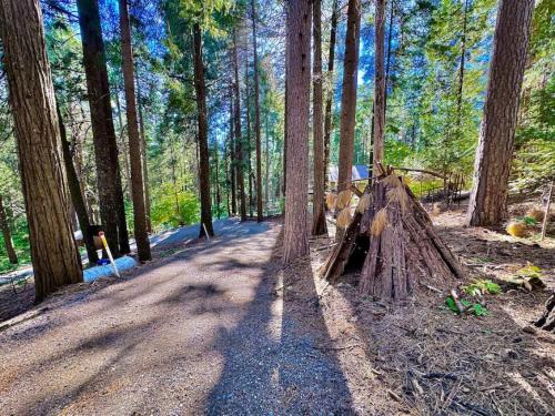 Cabin in the Trees - Hot Tub