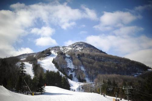 Hunter Mtn Slopeside Ski Resort HotTub*Heated Pool