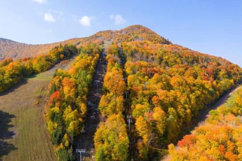 Hunter Mtn Slopeside Ski Resort HotTub*Heated Pool