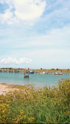 Rye Harbour Cosy Cottage