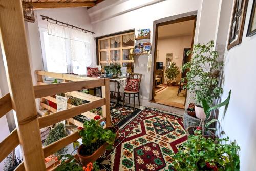 Bukovički mir (Bukovicki mir) in Bukovik