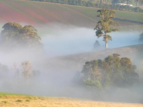 منظر, SIGNAL BOX Short Stay in Gembrook
