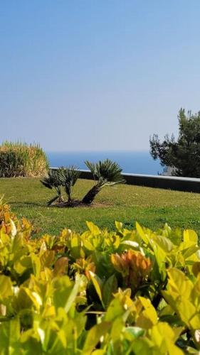 Studio Flat 15minutes walk from the sea, Nice - Côte D'Azure, Nice (fotografie 6)