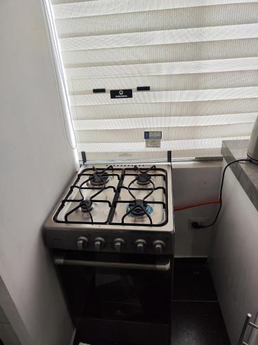 One-Bedroom Apartment image 1