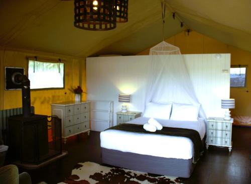 Pakiri Beach Holiday Park in Pakiri