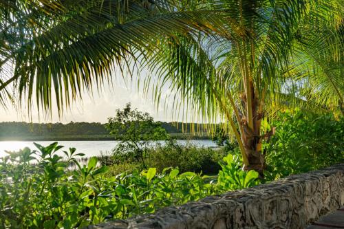 Vườn, Kaab Coba in Tulum