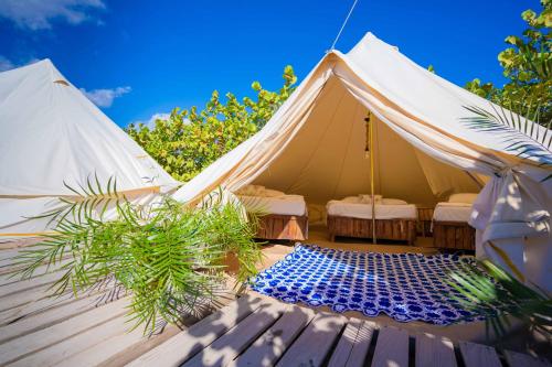 Glamping EcoLodge Cueva De Las Aguilas