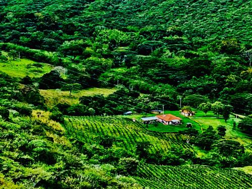 Hacienda La Tulia Eco Hotel