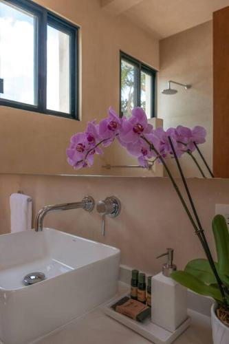 Kinal 05 - Apartment, Mérida (zdjęcie 7)