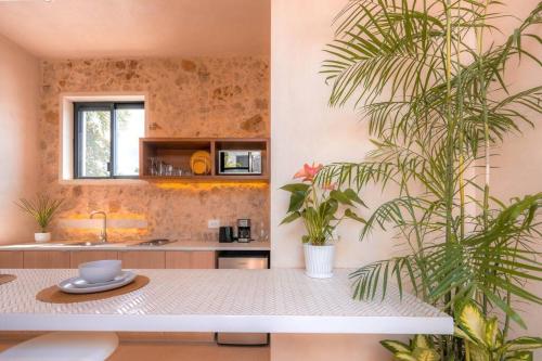 Kinal 05 - Apartment, Mérida (zdjęcie 8)