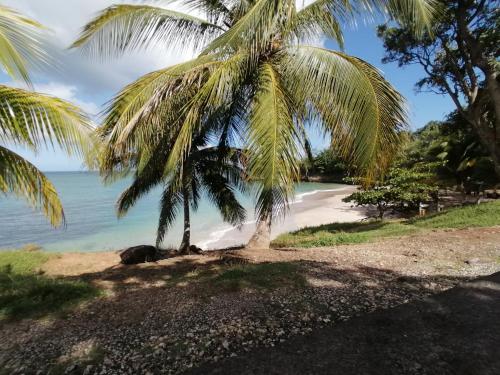 Surrounding environment, La villa karukera in Duzer