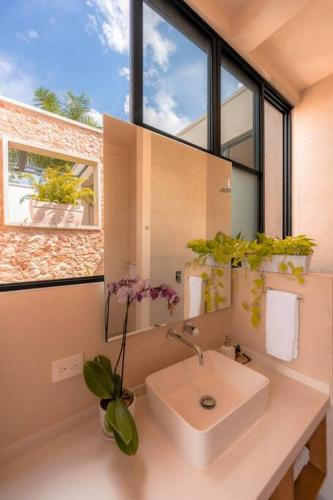 Kinal 04 - Apartment, Mérida (zdjęcie 3)