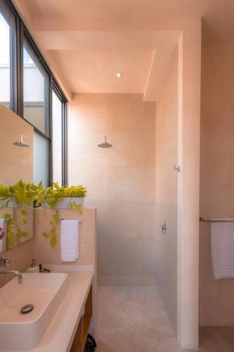 Kinal 04 - Apartment, Mérida (zdjęcie 5)