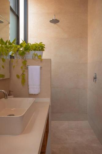 Kinal 04 - Apartment, Mérida (zdjęcie 9)