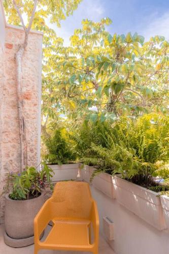 Kinal 04 - Apartment, Mérida (zdjęcie 10)