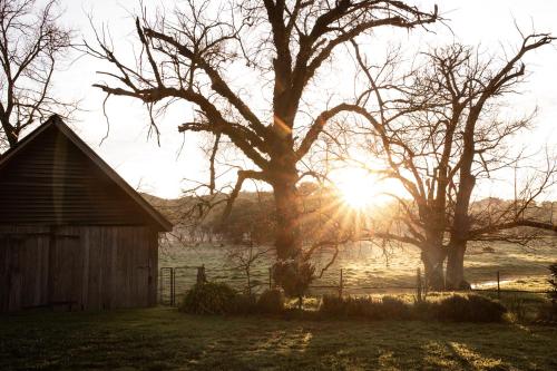 Dunmore Farm