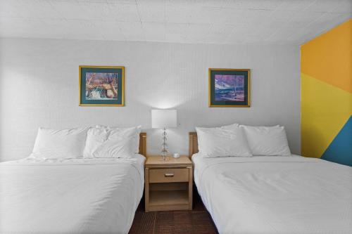 Stardust Motel Wallace - image 11