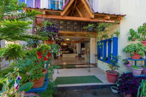 Hotel Vista Bhowali, Nainital - Vegetarian