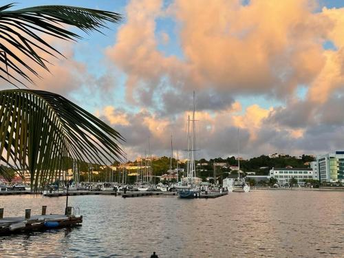 The Pelican #3 - Spacious 3 bedroom 2,5 bath waterfront townhome in the heart of Rodney Bay, townhouse