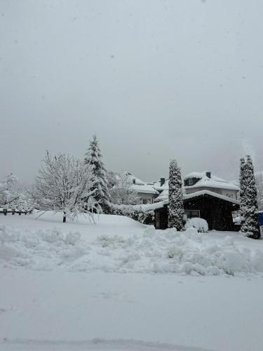 Pension Monika - Kaprun - main image