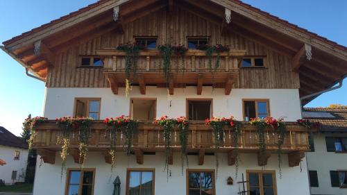Taubennest in Marwang, Deutschland