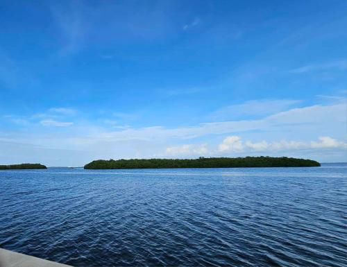 Longboat Key, 2/2 1304sf luxury condo, pool, wifi, beach in Longboat Key, USA