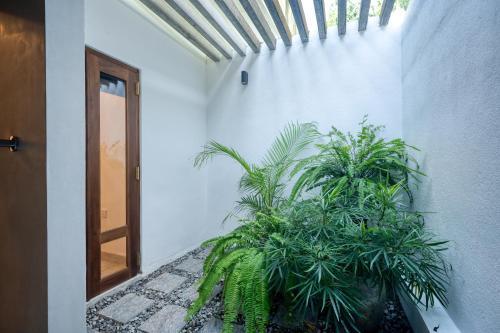 The Green House Mawella - image 3