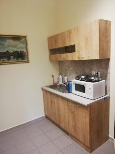 ห้องครัว, Apartmany Elisabeth in เดเบอร์นิก