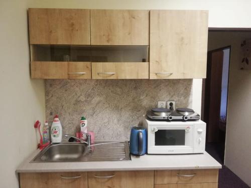 บริการและสิ่งอำนวยความสะดวก, Apartmany Elisabeth in เดเบอร์นิก