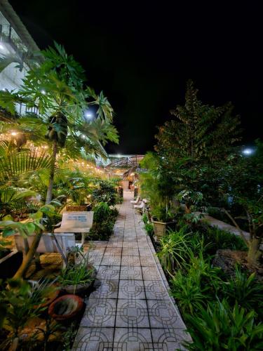 Homestay Bảo Bình - 정원