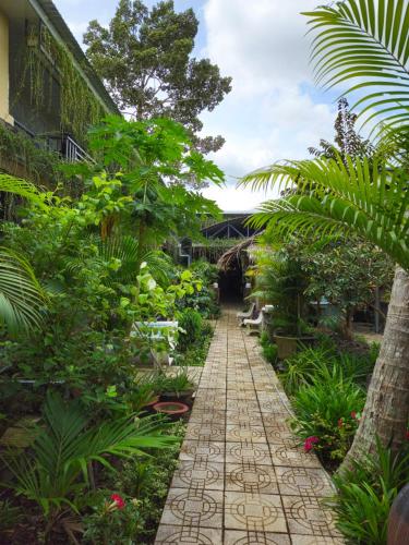 Homestay Bảo Bình - 전망