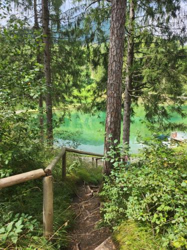  Nuovo Margiolà Dolomiti in 32042 Calalzo