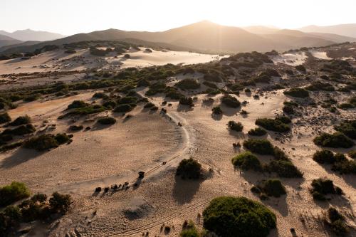 顿匹斯辛纳酒店