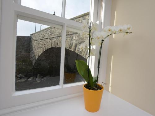 1 Bed in Aberaeron 49261