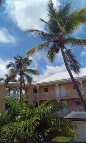 Les pieds dans l’eau in แซ็ง มาร์แต็ง