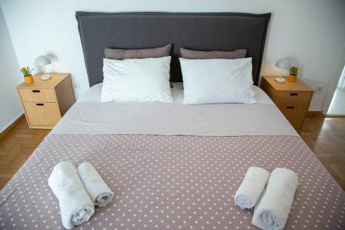 Large Flat with Terrace