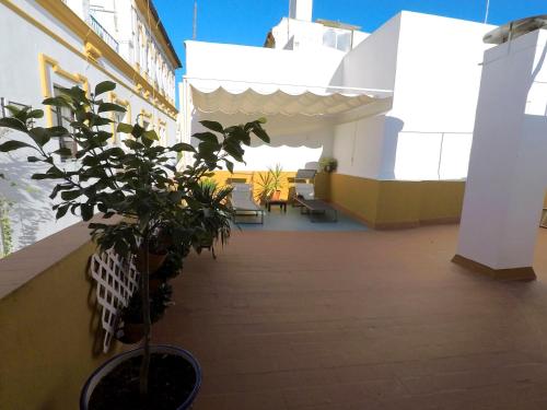 Duplex acogedor con gran terraza en pleno centro de Sevilla!, Sevilla (Foto 7)