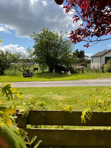 Skats, The Wee Hoose in Ruthwell